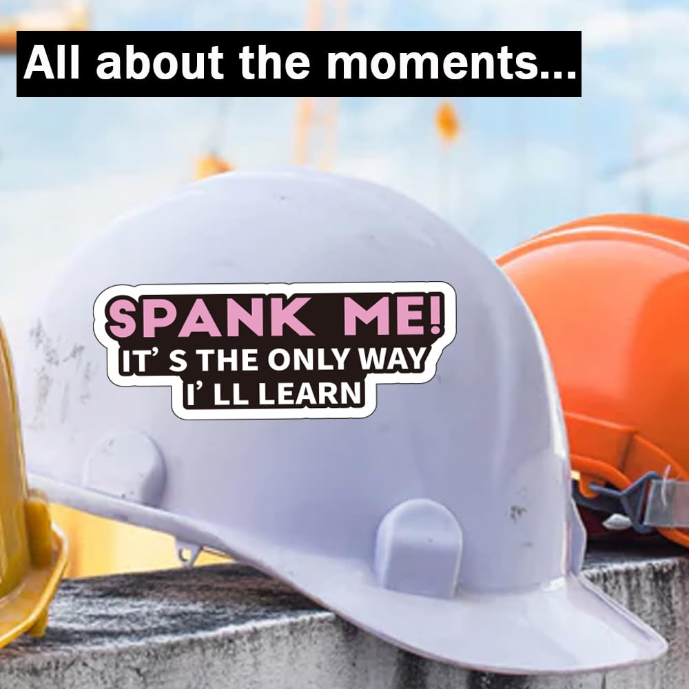 320pcs Funny Hardhat Sticker Bulk- Hard Hat Decals for Tools,Helmet, Water Bottle | Blue Collar Stickers for Adults, Ironworkers, Linemen, Oilfield Workers, and Electricians