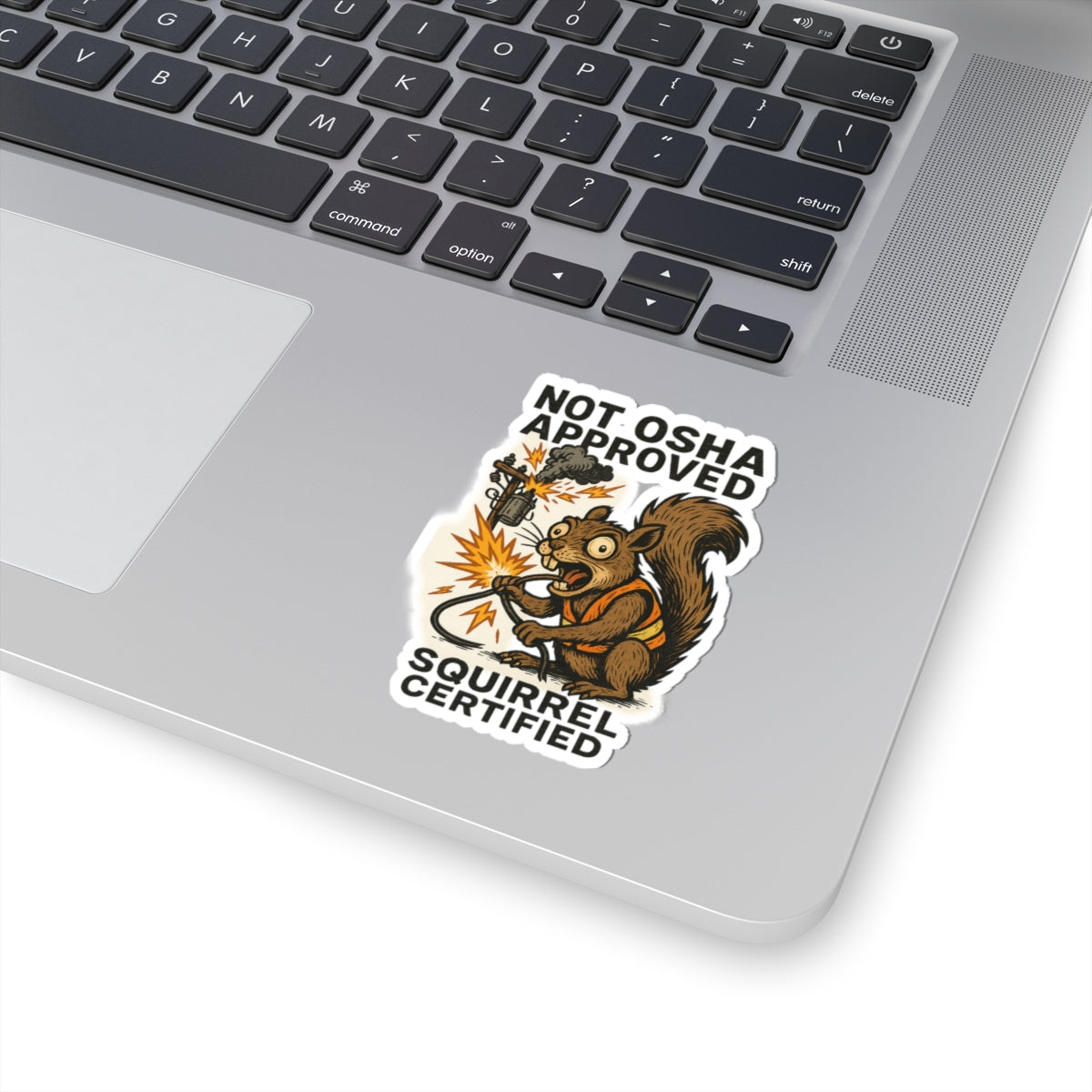 Funny Squirrel Stickers, Not OSHA Approved, Unique Laptop Decor, Hilarious Gift for Animal Lovers, Quirky Bedroom Wall Art
